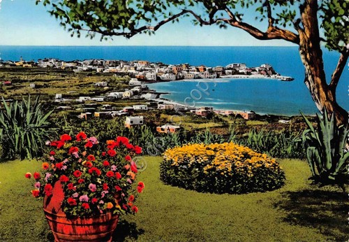 Cartolina Forio d'Ischia panorama e porto colorata