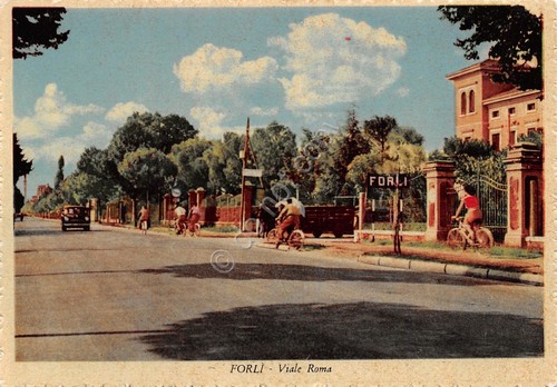 Cartolina Forlì Viale Roma ciclisti biciclette