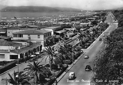 Cartolina Forte dei Marmi Viale di Ponente 1962 (Lucca)