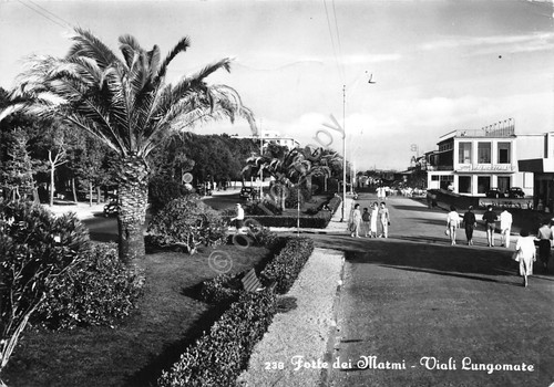 Cartolina Forte dei Marmi Viali Lungomare animata segnata (Lucca)