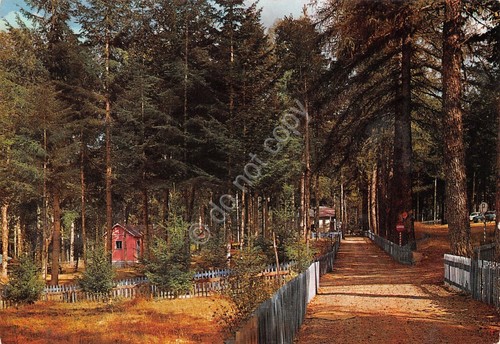 Cartolina Fossiata Sila villaggio 1978