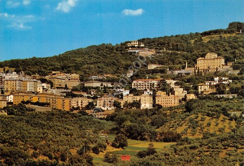 Cartolina Frascati panorama paese con case