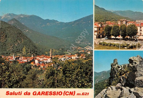 Cartolina Garessio vedute panorama 1981 (Cuneo)