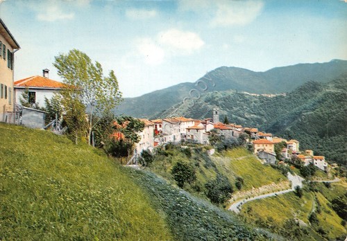 Cartolina Garfagnana Veduta di Vergemoli panorama con case