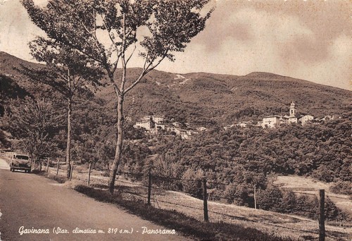 Cartolina Gavinana Panorama