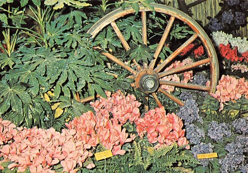 Cartolina Genova Euroflora 1971