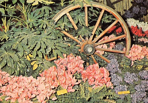 Cartolina Genova Fiera Euroflora '76 fiori piante