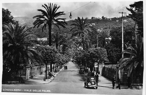Cartolina Genova Nervi Viale delle Palme animata auto d'epoca anni …