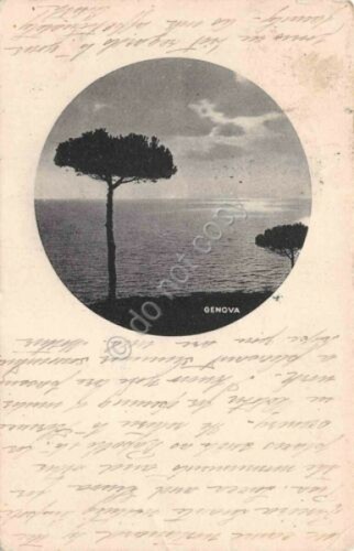 Cartolina Genova panorama tondo su sfondo bianco 1908