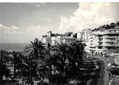 Cartolina Genova Pegli Palme Alberghi Mare