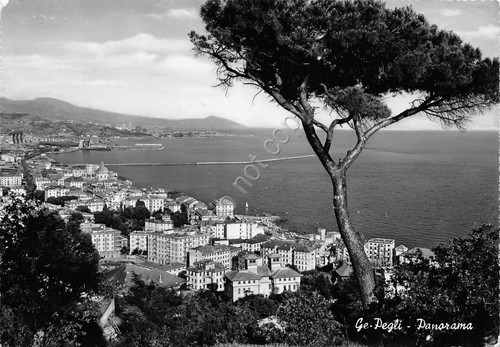 Cartolina Genova Pegli panorama 1950