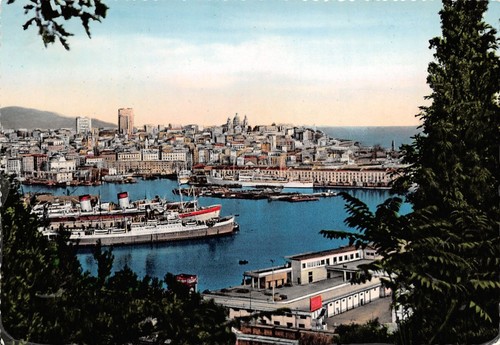 Cartolina Genova Porto e panorama Navi