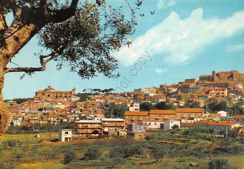 Cartolina Genzano di Roma panorama case anni '70