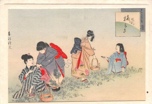 Cartolina Giappone Japan Illustrata Geisha in the field