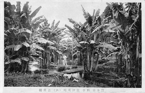 Cartolina Giappone Japan Kumamoto