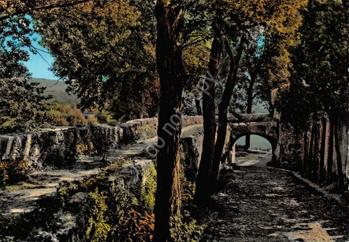 Cartolina Gradisca d'Isonzo passeggiata dietro al castello (Gorizia)