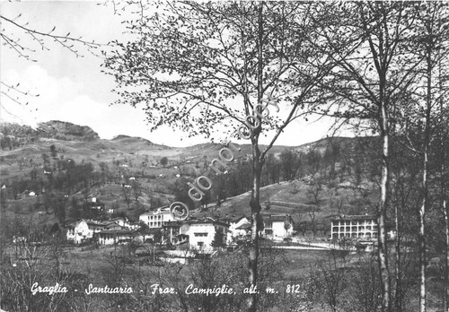 Cartolina Graglia Frazione Campiglie Santuario