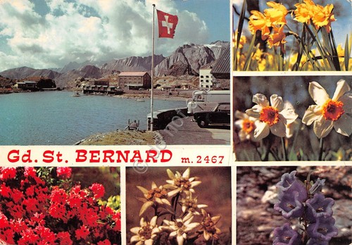 Cartolina Gran San Bernardo 6 vedute Confine Italo Svizzero fiori …