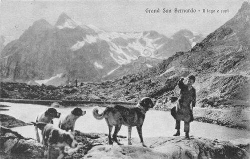 Cartolina Gran San Bernardo Lago Cani 1922 (Aosta)