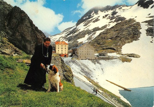 Cartolina Gran San Bernardo Valico Religioso Frate con i suoi …