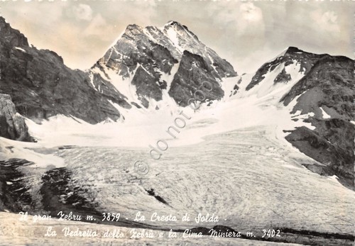 Cartolina Gran Zebrù Cresta di Solda Vedretta e Cima Miniera