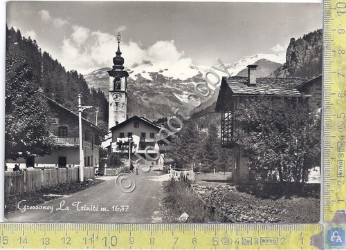 Cartolina Gressoney La Trinitè Panorama via del paese 1956 (Aosta)