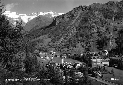 Cartolina Gressoney Panorama 1961 (Aosta)