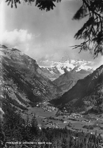 Cartolina Gressoney Panorama e Monte Rosa Ed SACAT 1949