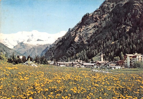 Cartolina Gressoney St Jean con Monte Rosa (Aosta)
