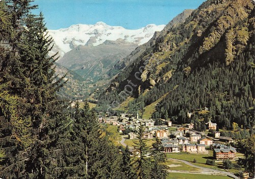 Cartolina Gressoney St. Jean Panorama 1987 segni (Aosta)