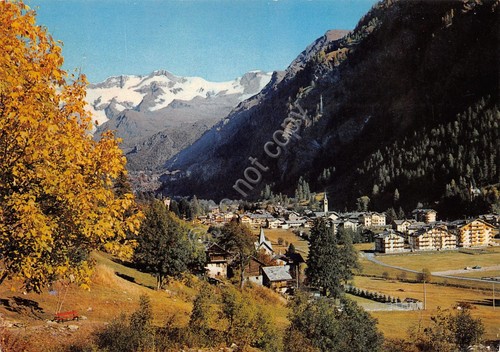 Cartolina Gressoney St Jean panorama autunnale e Monte Rosa anni …
