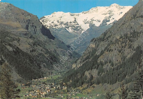 Cartolina Gressoney St Jean panorama parziale vallata e M. Rosa