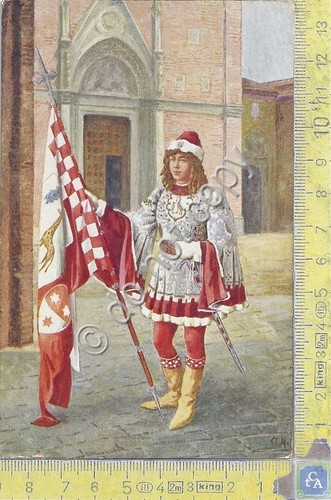 Cartolina I 17 Paggi delle Storiche Contrade di Siena - …