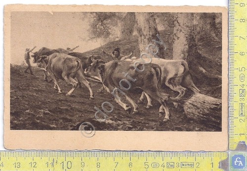 Cartolina illustrata Bruzzi - Fatica - Timbro Prestito Nazionale Rendita …