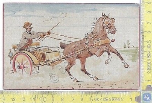 Cartolina illustrata con cavallo e calesse - OPF - Horse