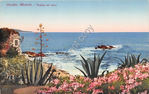 Cartolina Illustrata Giardini Mortola vista sul mare Ed Brunner
