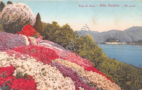 Cartolina Illustrata Lago di Como Villa Carlotta nel parco