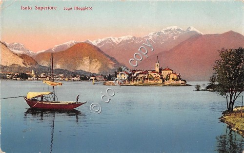 Cartolina Illustrata Lago Maggiore Isola Superiore Ed. Brunner (Novara)