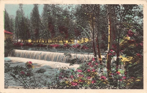 Cartolina Illustrata piccole cascate fiume alberi fiori 1933
