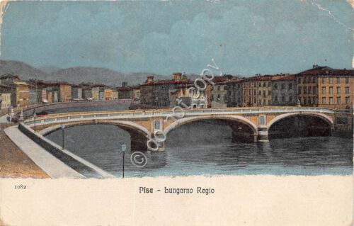 Cartolina Illustrata Pisa Lungarno Regio 1918