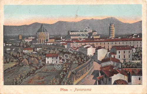 Cartolina Illustrata Pisa Panorama