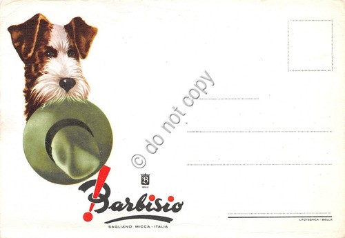 Cartolina Illustrata Pubblicitaria Barbisio Cappelli Sagliano Micca