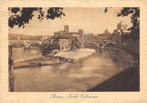 Cartolina Illustrata Roma Isola Tiberina 1942