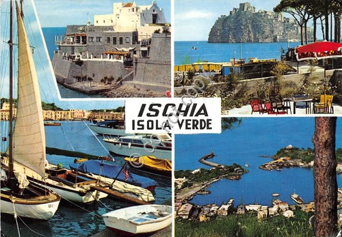 Cartolina Ischia Isola Verde Saluti da Vedutine (Altre tematiche)