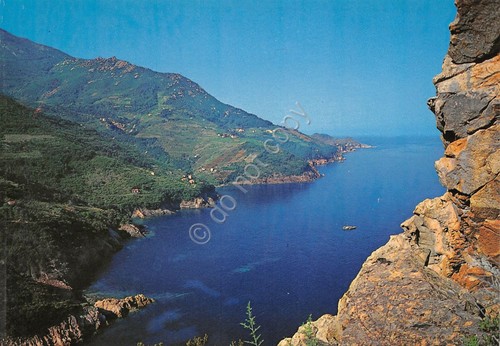 Cartolina Isola d'Elba Capo S. Andrea panorama dall'alto anni '70
