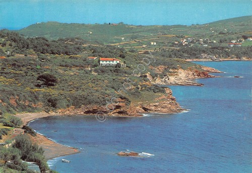 Cartolina Isola d'Elba Capoliveri Golfo Stella casa anni '70