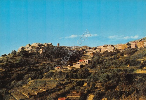 Cartolina Isola d'Elba Capoliveri panorama case anni '70