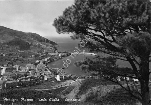 Cartolina Isola d'Elba Marciana Marina panorama 1955 (Livorno)
