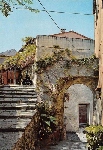 Cartolina Isola d'Elba Poggio salita del Pesce case anni '70