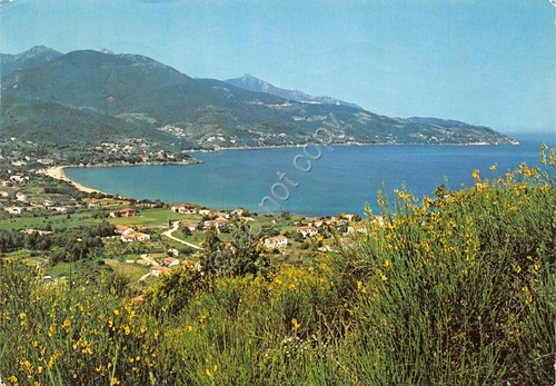 Cartolina Isola d'Elba Procchio il golfo 1974 (Livorno)